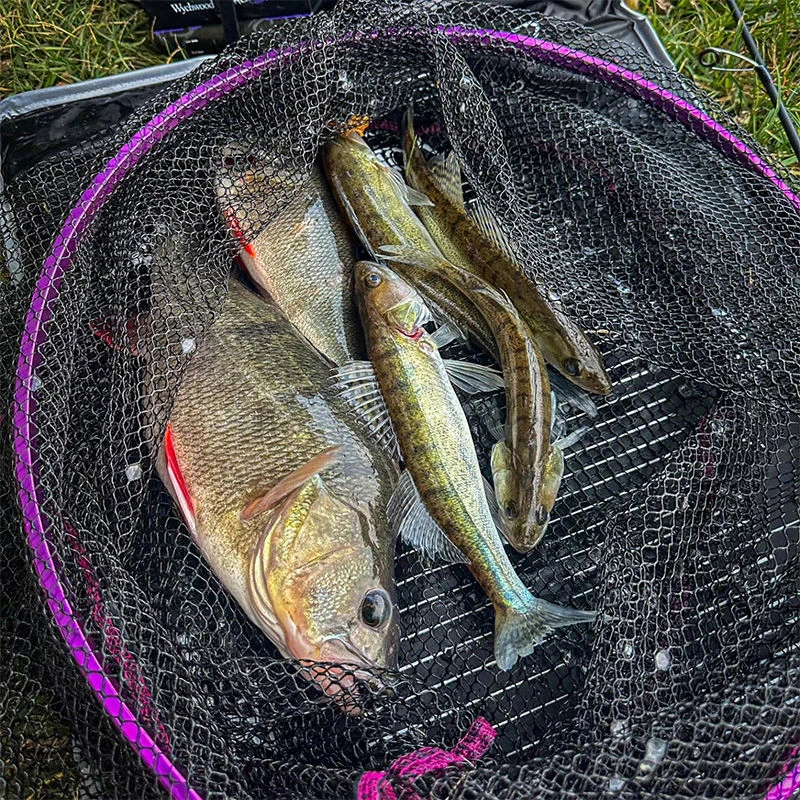 Wychwood Agitator Predator HD Nets